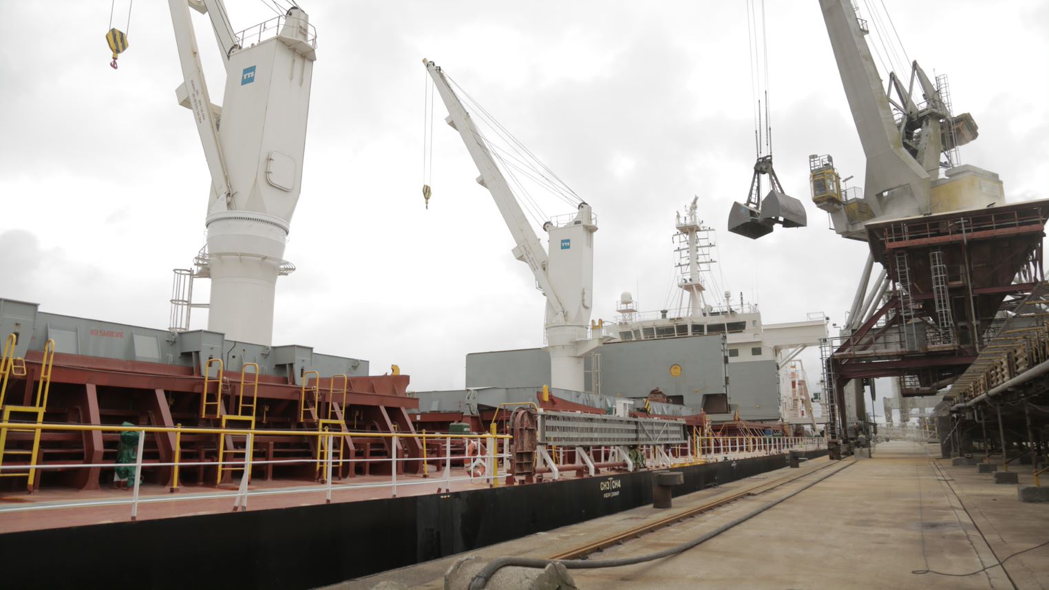 Innovation - Handysize Bulk carrier LD Bulk